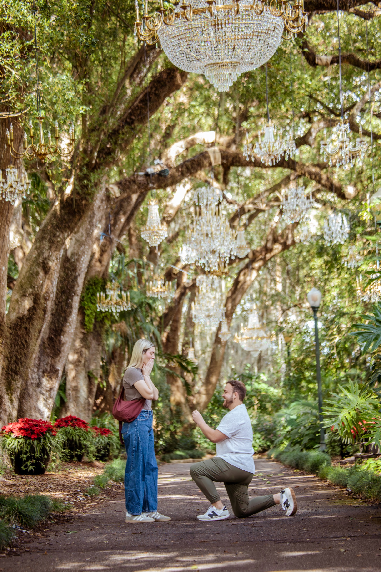 Surprised partner watching as their love proposes beneath chandeliers in a garden